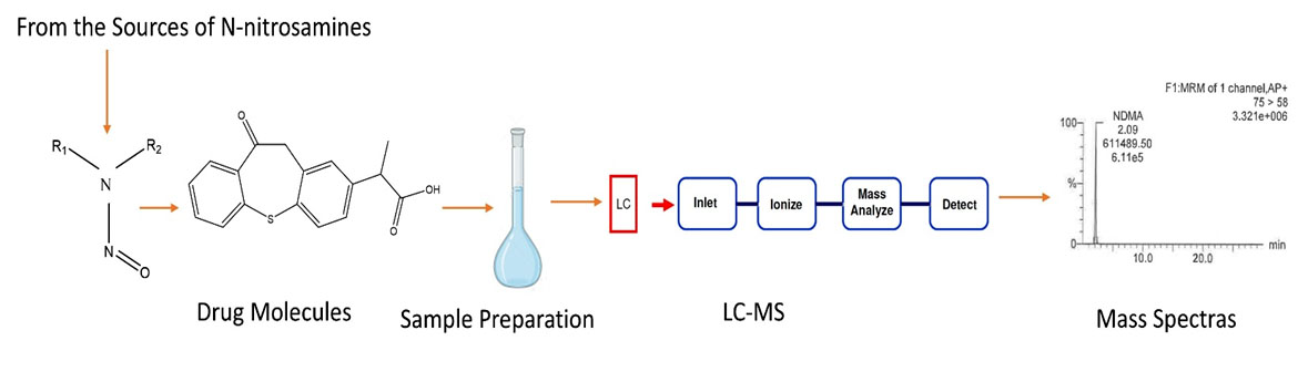 Graphical Abstract